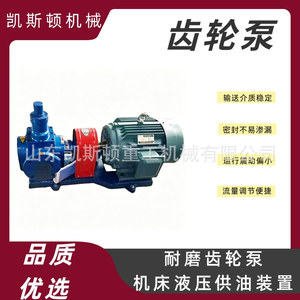 Pompe à engrenages en acier inoxydable Keston, matériau 304, 100 Lpm, électrique, rotative, pour le transfert de résine, de revêtements et de graisses - Product Image 5