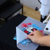 Impresora DTF Epson L1800 90% Nueva para Impresión en Tamaño A3, Impresora de Película PET para Camisetas, Transferencia DTF con Cabezal L1800