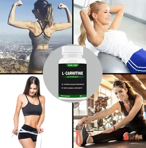 Supplément Santé Thé Vert L Carnitine suppléments sportifs L-Carnitine amincissant les capsules