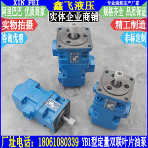 Bomba Hidráulica de Paletas Dobles de Desplazamiento Fijo YB1-12/16/20/25/32/40/50/63, Bomba Hidráulica de Presión Media - Product Image 1