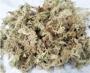 Sol pour fleurs en pot, plantes succulentes, stéréo, mousse d'eau sèche, pour, vente en gros - Product Image 2