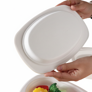 Assiette ovale en bagasse de 9 pouces, biodégradable, compostable, blanche, pour la restauration, vente en gros - Product Image 3