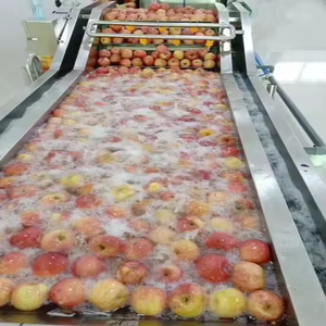 صناعة أوتوماتيكية كاملة عصير طبيعي من الحمضيات والبرتقال - Product Image 2