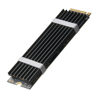 Refroidisseur SSD M.2 NVME NGFF 2280 pour PC portable Dissipateur thermique M.2 NVME en aluminium Disque dur à semi-conducteurs Radiateur