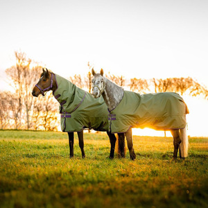 Wholesale Equestrian <strong>Horses</strong> Riding Products Custom <strong>Horse</strong> Sheet Ripstop Equine Turnout Blanket High Quality <strong>Horse</strong> Rugs - Product Image 1