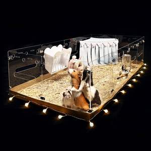 Gine domuzları için özelleştirilmiş akrilik gine domuzcuk yuvası DIY akrilik kafes küçük hayvan kafesi - Product Image 1