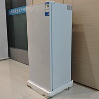 Nouveau modèle 148L de congélateur vertical à tiroirs à 6 couches à porte unique avec une capacité de haute qualité et une température réglable