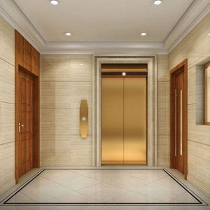 Ascensor Vertical Hidráulico Moderno para Discapacitados, Elevador Residencial para Interiores, Uso en Hoteles, Personalizable para Dos Pisos, Capacidad de Elevación 300/450 kg - Product Image 2