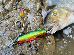 Señuelo <span class=keywords><strong>de</strong></span> Pesca Metálico Tipo Jig Jack Eye, Modelo Cheery Blade, Tipo Sardina Keimura Bulpin, para Pesca en Agua Salada, Lagos, Ríos y Arroyos - Product Image 4