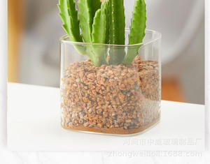 Jardinières sans terre pour plantes succulentes, bouteilles en verre transparent, ornements mignons pour la plantation et l'aromathérapie, pots carrés de contrôle - Product Image 5