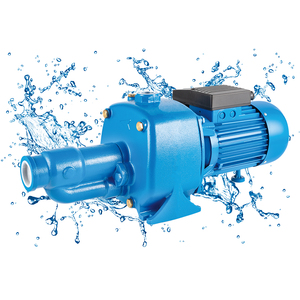 Pompe à eau à jet personnalisée CAB 1HP avec impeller en laiton et arbre en acier inoxydable, moteur 12V haute pression, fabrication OEM Chine - Product Image 5