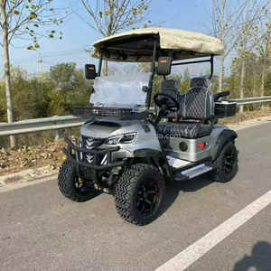 Nouveau modèle de voiturette de golf électrique à bas prix, buggy de chasse avec certificat GCC, voiturette de golf utilitaire - Product Image 5