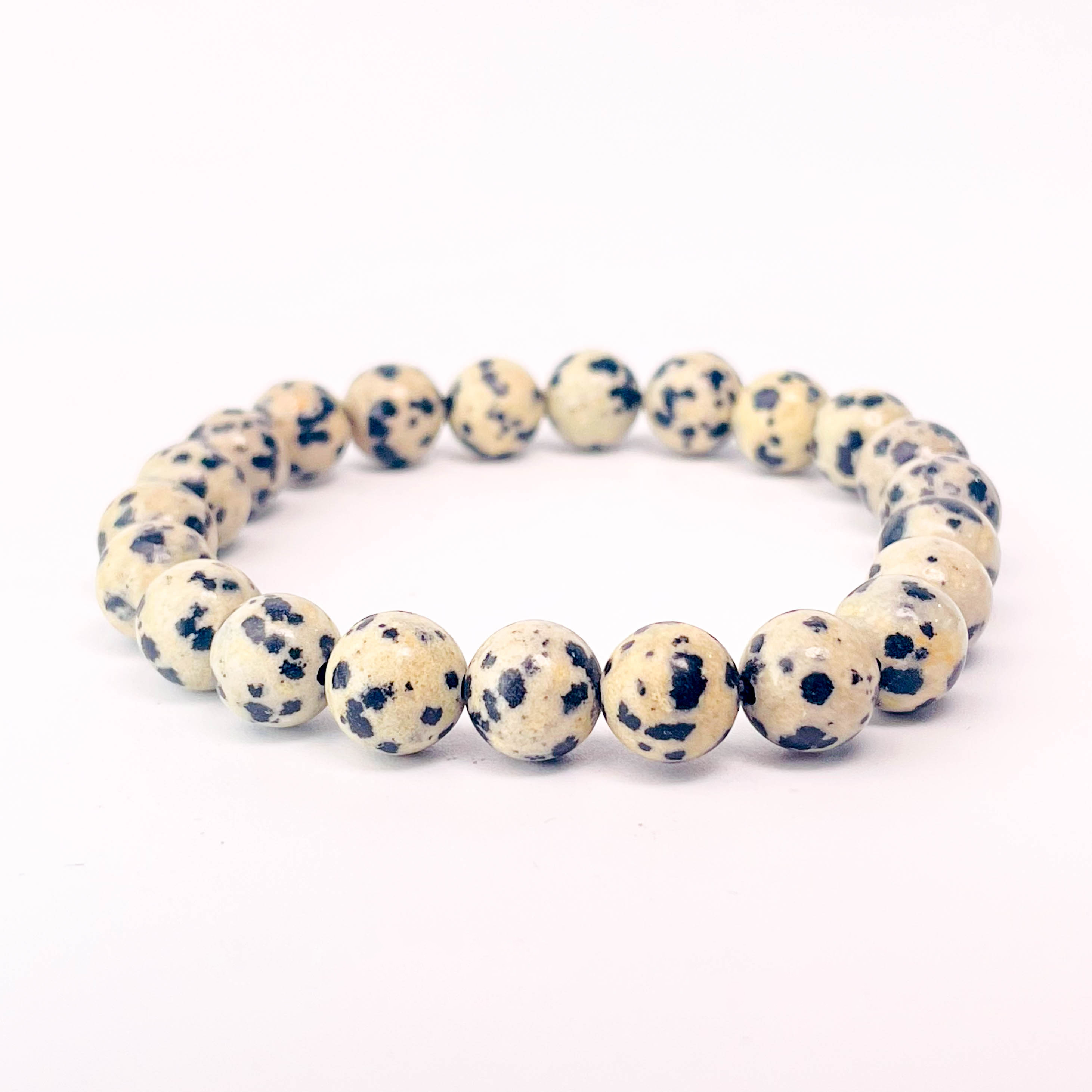 Dalmata Jasper