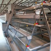 Nouvel équipement de poulailler pour élevage avicole, cages automatiques de type A pour poules pondeuses avec acier galvanisé et longue durée de vie
