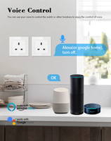 Hooanke UK Standard Smart WIFI Touch Wandsteckdose, 13A Smart Life App-Steuerung, Alexa Google Home Sprachsteuerung, OEM & ODM.
