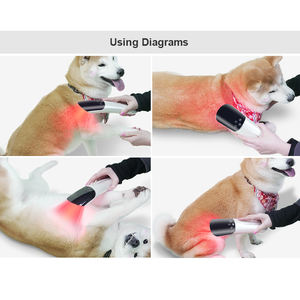เครื่องมือสัตวแพทย์อุปกรณ์บำบัดด้วยแสงสีแดงอุปกรณ์สำหรับดูแลสุนัขและม้าโดยเฉพาะสำหรับสัตว์เลี้ยง - Product Image 2