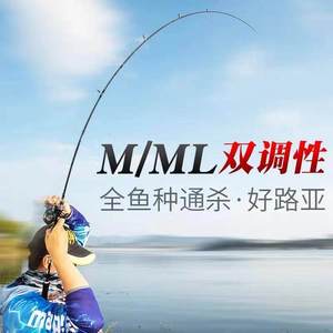 Canne à pêche <span class=keywords><strong>Daiwa</strong></span> importée du Japon pour la pêche au bar - Longue portée 2100 mm, longueur pliée, action de pêche rigide, <span class=keywords><strong>ensemble</strong></span> complet - Product Image 4
