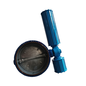 Válvula de Mariposa de Doble Excéntrico con Engranaje de Gusano de Hierro Fundido y Sello de PTFE para Control de Tuberías Industriales - Product Image 3