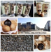 Ail noir fermenté en bulbes 150g 250g Alho Negro Bawang Hitam Sans additifs Exportation vers le Brésil et l'Indonésie