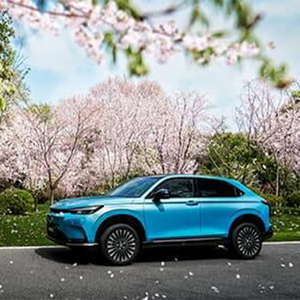 Dongfeng Hondaa e Ns1 auto elettrica di nuova energia con auto elettrica ce top one <span class=keywords><strong>world</strong></span> auto elettrica più veloce veloce - Product Image 5