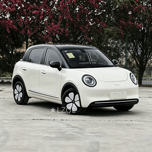 Nuova Wuling Bingo <span class=keywords><strong>Pro</strong></span> 330-403km, Veicoli Elettrici Compatti, Auto Elettriche Pure, Mini EV per la Guida in Città - Product Image 1
