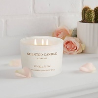 Vente en gros de bougeoirs en verre givré blanc de 9oz, bougies parfumées à 3 mèches, bocaux parfumés de luxe à large bouche avec boîte-cadeau