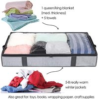 Sac de rangement sous le lit pliable en tissu non tissé écologique au design minimaliste avec couvercle supérieur en plastique transparent pour l'organisation des vêtements dans le placard