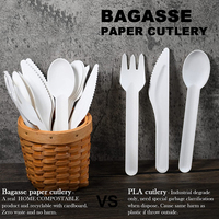 Boîte de présentation personnalisée pour la vente au détail avec languette de suspension, mini-fourchette-cuillère en pulpe végétale, 24 pièces de couverts jetables pour supermarché