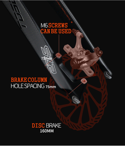 Bán Buôn Toseek Xe Đạp Thẳng Phanh Đĩa 9*100Mm Qr5 Màu Sắc Tươi Sáng Con trỏ Xc Cứng Nhắc Xe Đạp Phía Trước Ngã Ba Carbon Ngã Ba <span class=keywords><strong>Mtb</strong></span> - Product Image 5