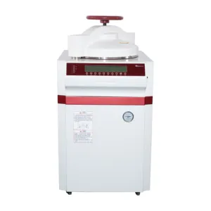 Stérilisateur à pression de vapeur autoclave Vertical 60L 85L 110L