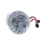 Ampoules de fête foraine RVB couleur intégrale UCS1903 12V 24V pour l'éclairage des manèges et carrousels