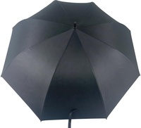 Nouvelle invention Parapluie de golf réfléchissant intérieur automatique à double couche 30 pouces 8K