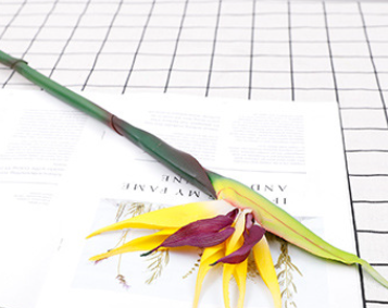 สีเหลือง