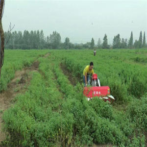 Diesel Mini granturco mietitrice <span class=keywords><strong>erba</strong></span> e <span class=keywords><strong>assenzio</strong></span>/colza/<span class=keywords><strong>erba</strong></span> medica con componenti di nucleo di ingranaggi per la raccolta del grano - Product Image 3