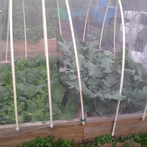 초미세 메쉬 네트 해충 방지 보호망 새 모기망 식물 덮개 농작물 온실 줄 덮개 - Product Image 2