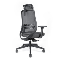 Chaise de bureau ergonomique moderne à dossier haut, cadre en nylon noir, dossier en maille classique, base en nylon, mousse PU, soutien lombaire réglable