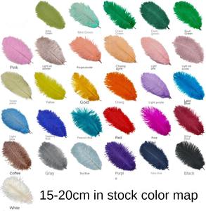 Plumas de Avestruz de 15-80 cm para Espectáculos, Decoración de Bodas, Manualidades, Plumas Blancas de Avestruz - Product Image 4