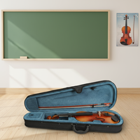 Wholesale Professional Musical Instruments High Quality Glossy Basswood Violin Set With Case and Bow