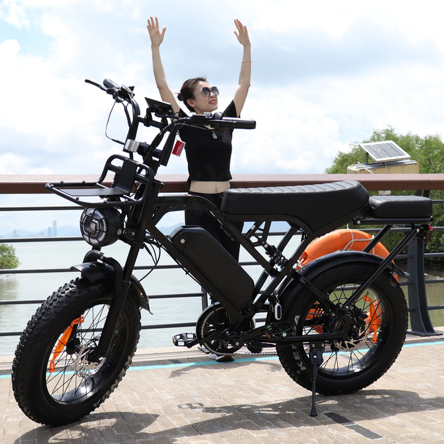 E Bike EU Warehouse  X80 Pro Fatbike 20*4 Inch 2 Seat Electric Mountain Bike off Road V20 Pro Bicycle Electric Bicycle Ebike