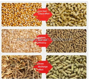 Máquina de Procesamiento de Alimentos para Animales a Precio Económico, Máquina de Pellets para Alimento de Aves, Pollo y Peces - Product Image 4