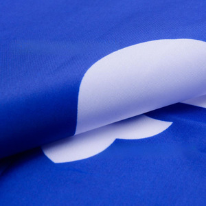 Bandera Nacional de Quebec N.° 4 de 90*150 cm, Impresión Digital, Poliéster Duradero, Asta de Bandera de Plástico, 3x5 Pies, Bolsa de OPP, Venta al por Mayor - Product Image 4