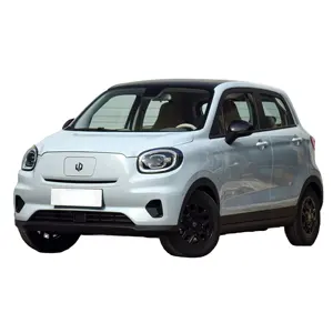 2023 new Leapmotor T03 5 door 4 seat mini car cheap pure electric with lithium iron phosphate battery