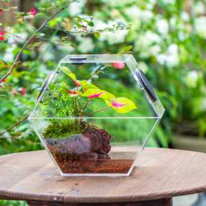 Grand <span class=keywords><strong>terrarium</strong></span> en acrylique fait à la main avec évents en maille Cage en acrylique pour insectes. - Product Image 2