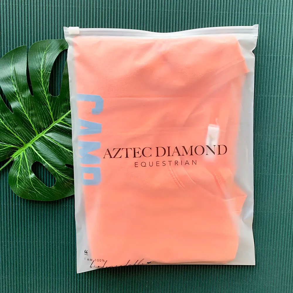 Borsa con cerniera con logo stampato personalizzata in pvc Eva Pack in plastica smerigliata con chiusura a zip trasparente per abbigliamento