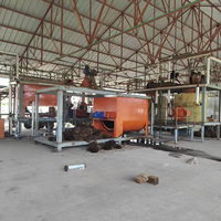 Automatische nieuwe 1-2TPH Afrikaanse rode palmolie-extractiemachinefabriek van verse palmboomscheuten, koud & warm persen, hoge productiviteit