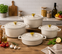 Nouvelle Collection 2026 : Cocotte Ovale Peu Profonde en Fonte Émaillée 20cm/24/28cm, Personnalisable avec Logo, Compatible Micro-ondes, avec Couvercle – Vente en Gros