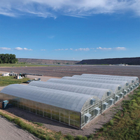 Multi-Span Boog Rond Polycarbonaat Kas Agrarische Commerciële Groene Huis Polycarbonaat Tuinkas Leverancier