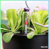Système hydroponique intelligent à 12 trous pour jardin intérieur sans terre, machine automatique de culture de légumes