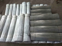 Alambre Galvanizado Recto de 3.0mm para Construcción, Refuerzo y Ataduras, Corte Personalizado OEM
