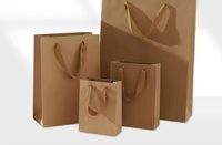 Portable Gold-embossed Printed Gift Carry Paper Bags Package Craft Package